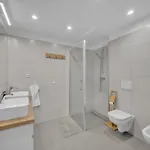 וילה In Near צ'רני דול